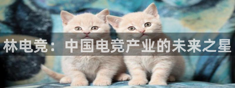 完美电竞app官网：林电竞：中国电竞产业的未来之星
