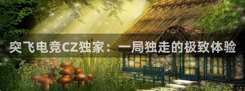完美电竞注册：突飞电竞CZ独家：一局独走的极致体验