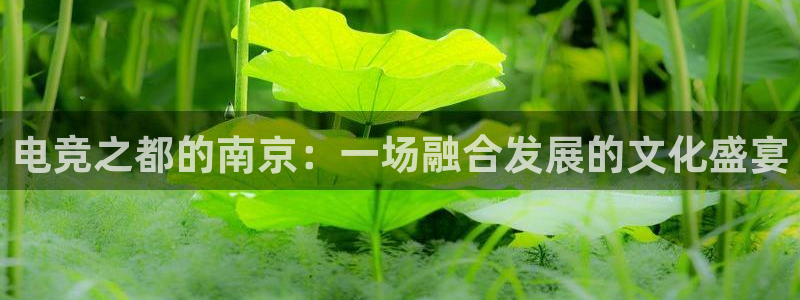 完美电竞平台排行榜：电竞之都的南京：一场融合发展的文化盛宴