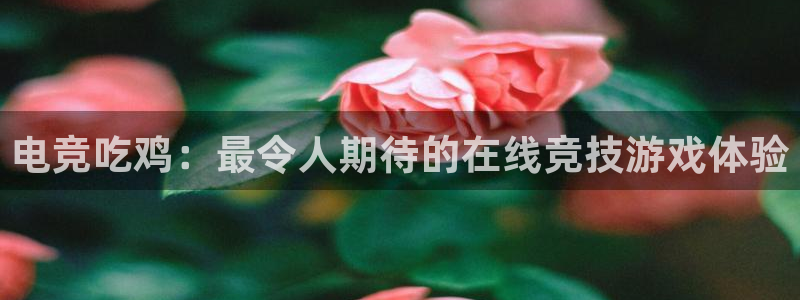 csgo完美电竞：电竞吃鸡：最令人期待的在线竞技游戏体验