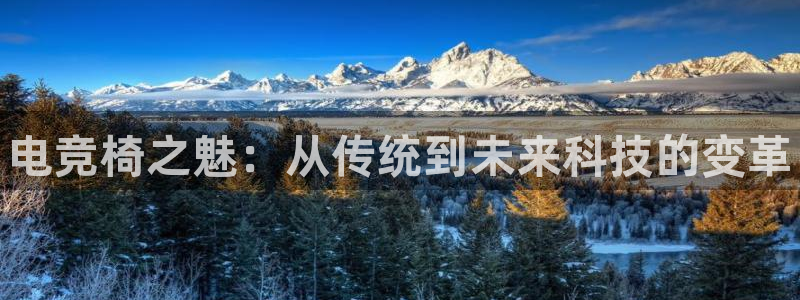 完美电竞注册：电竞椅之魅：从传统到未来科技的变革