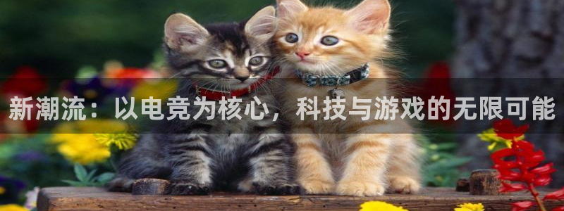 完美电竞竞技平台：新潮流：以电竞为核心，科技与游戏的无限可能