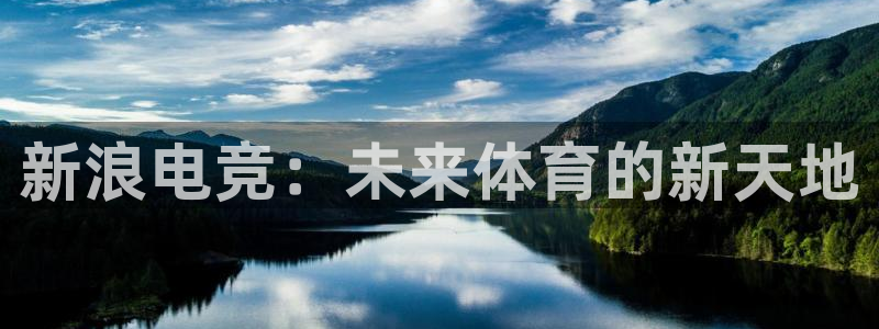 完美电竞平台下载：新浪电竞：未来体育的新天地