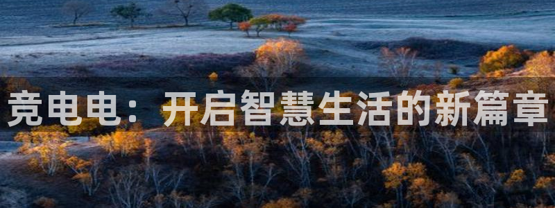 完美电竞官网首页：竞电电：开启智慧生活的新篇章