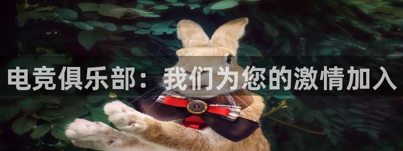 完美电竞平台官网网址：电竞俱乐部：我们为您的激情加入