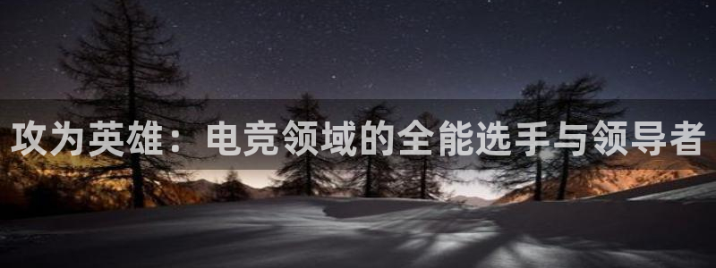 cs完美电竞平台：攻为英雄：电竞领域的全能选手与领导者