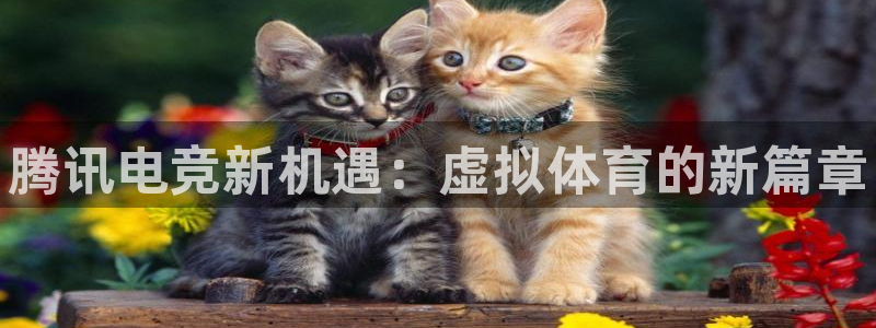 完美电竞官网盛大升级：腾讯电竞新机遇：虚拟体育的新篇章
