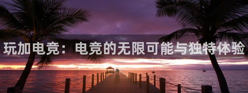 完美电竞对战平台：玩加电竞：电竞的无限可能与独特体验