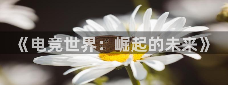 完美电竞app官网：《电竞世界：崛起的未来》