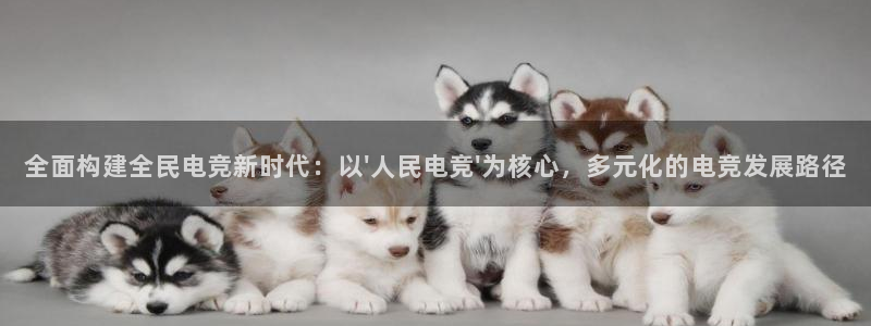 完美电竞直播：全面构建全民电竞新时代：以\'人民电竞\'为核心，多元化的电竞发展路径