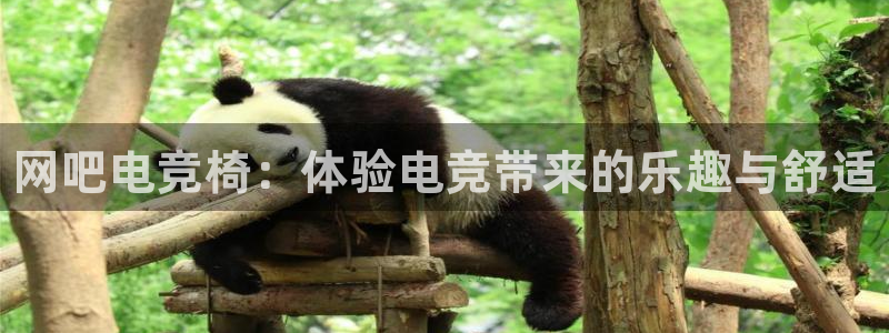csgo完美电竞：网吧电竞椅：体验电竞带来的乐趣与舒适