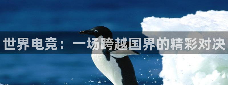 csgo完美电竞平台：世界电竞：一场跨越国界的精彩对决