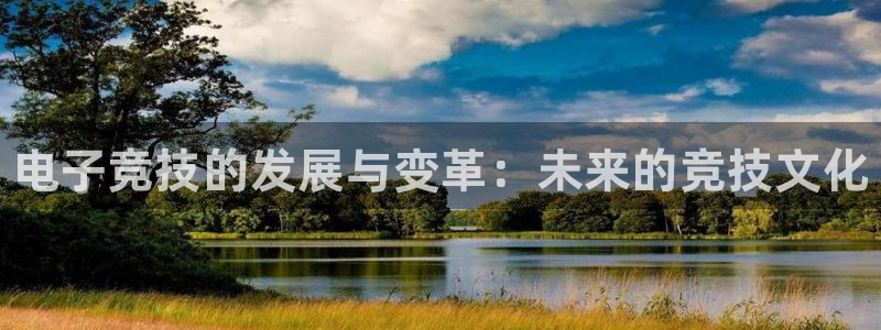 完美电竞平台排行榜：电子竞技的发展与变革：未来的竞技文化