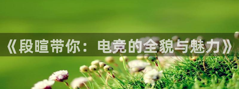 csgo完美电竞平台：《段暄带你：电竞的全貌与魅力》