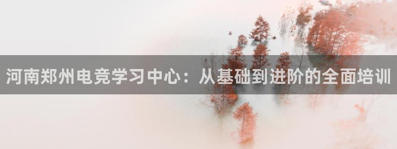 csgo完美电竞平台：河南郑州电竞学习中心：从基础到进阶的全面培训