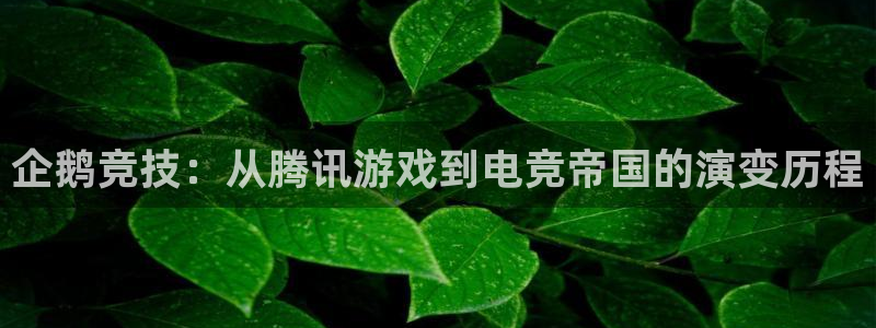 完美电竞竞技平台：企鹅竞技：从腾讯游戏到电竞帝国的演变历程