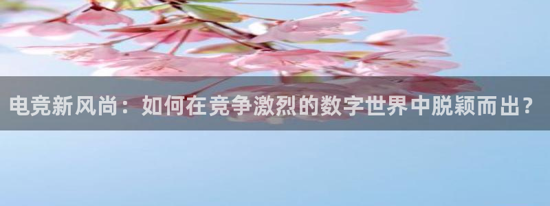完美电竞app官网：电竞新风尚：如何在竞争激烈的数字世界中脱颖而出？