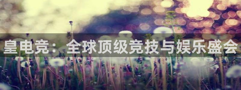 完美电竞大会员：皇电竞：全球顶级竞技与娱乐盛会
