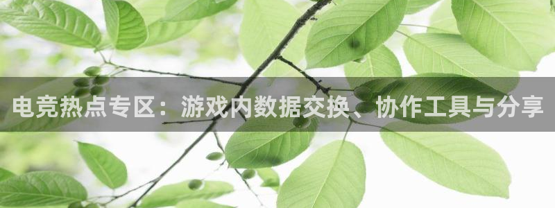 完美电竞世界平台下载：电竞热点专区：游戏内数据交换、协作工具与分享