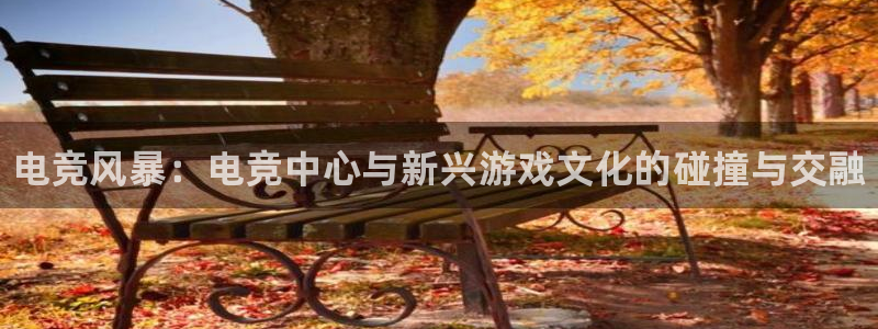 csgo完美电竞平台：电竞风暴：电竞中心与新兴游戏文化的碰撞与交融