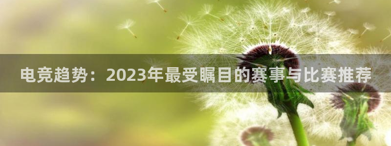 完美电竞官网盛大升级：电竞趋势：2023年最受瞩目的赛事与比赛推荐