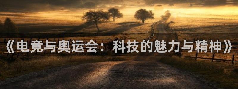 完美电竞平台下载：《电竞与奥运会：科技的魅力与精神》