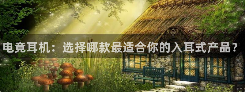 完美电竞账号：电竞耳机：选择哪款最适合你的入耳式产品？