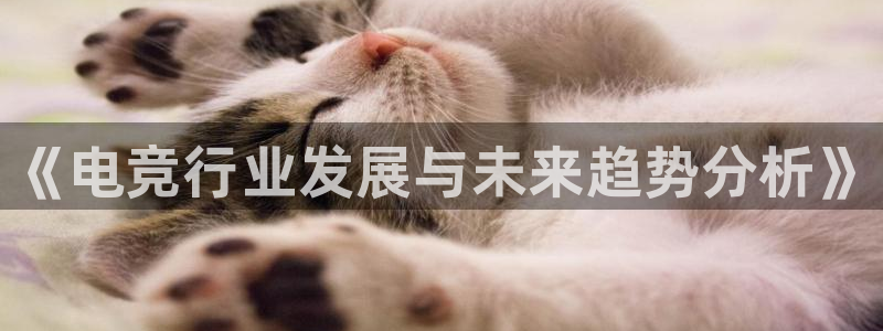 完美电竞平台官网：《电竞行业发展与未来趋势分析》